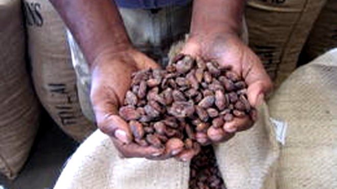 chocolate.JPG